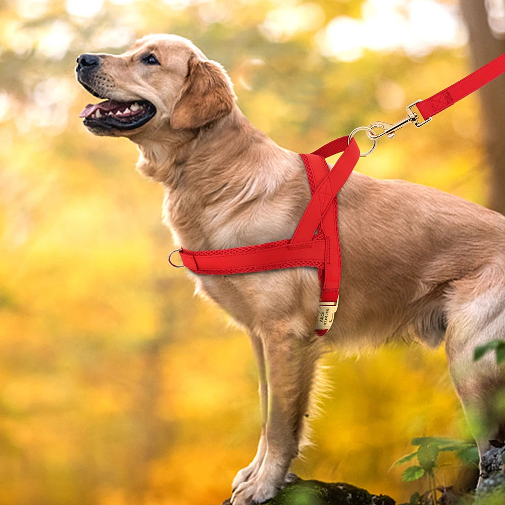 Signature No-Pull Harness - Personalised Comfort & Control - Luxury Label Official