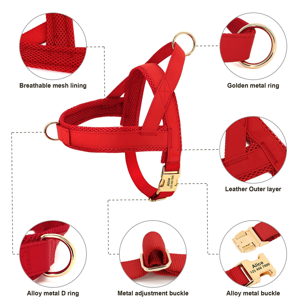 Signature No-Pull Harness - Personalised Comfort & Control - Luxury Label Official
