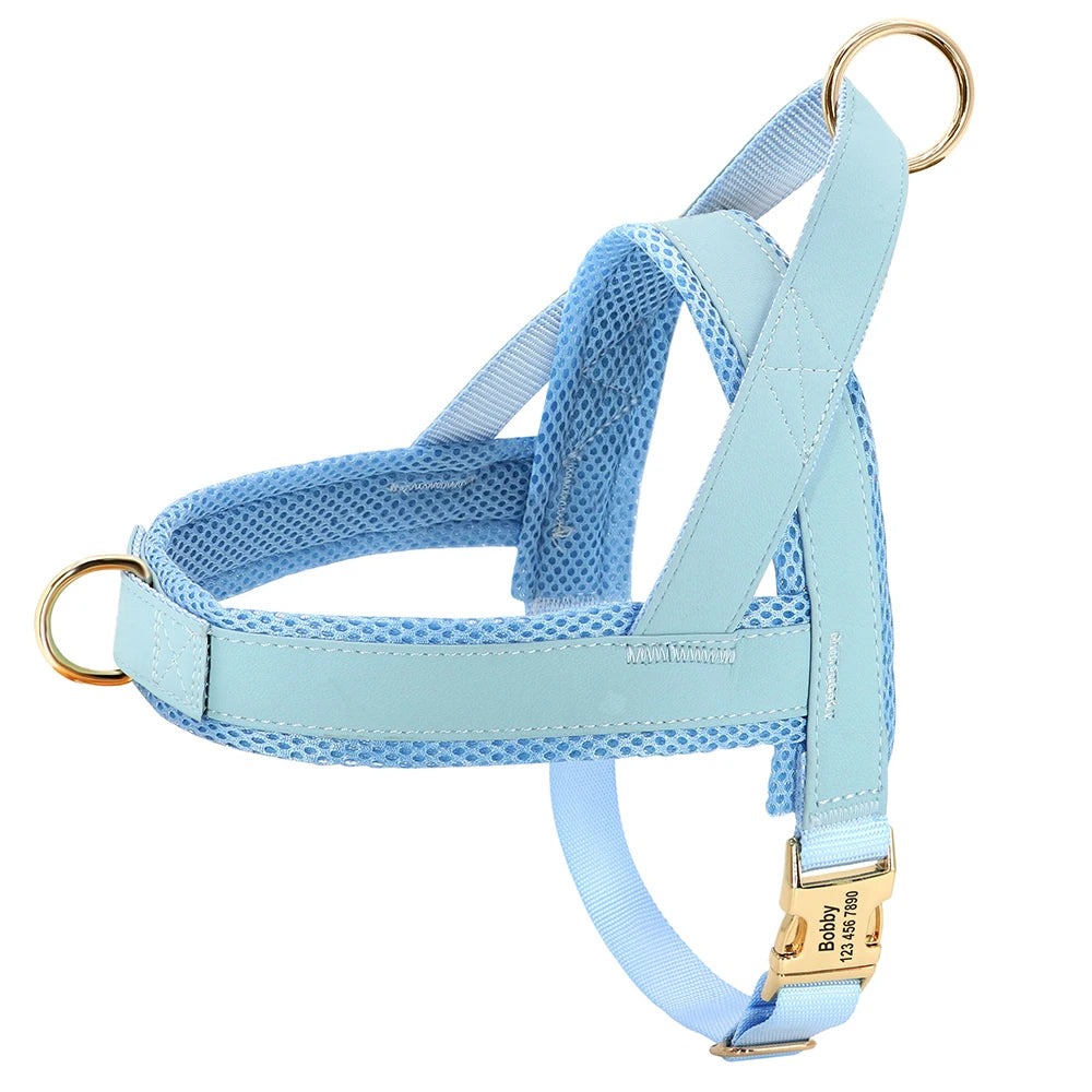 Signature No-Pull Harness - Personalised Comfort & Control - Luxury Label Official