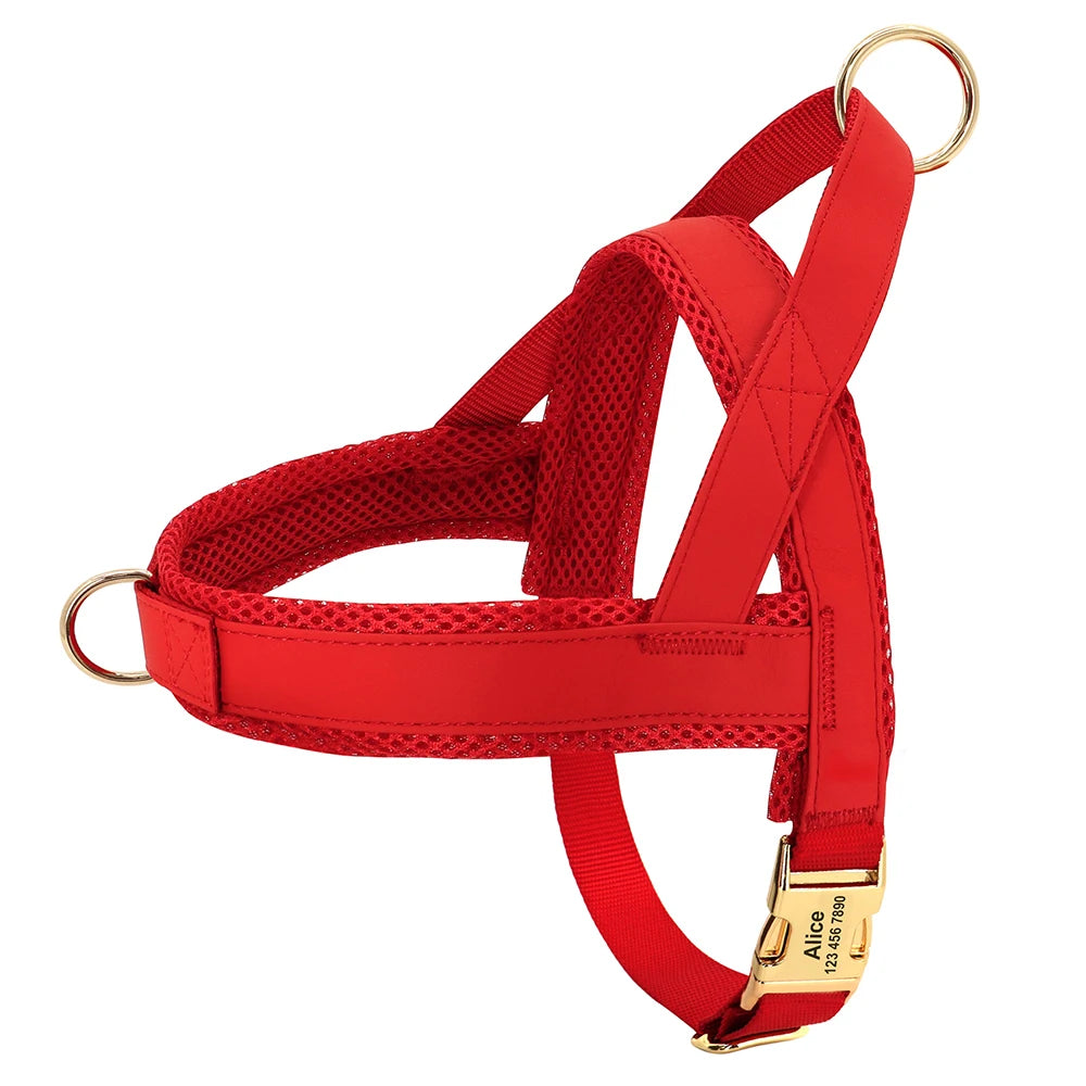 Signature No-Pull Harness - Personalised Comfort & Control - Luxury Label Official