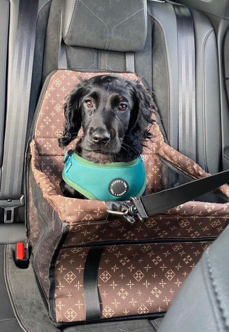 Black Labrador travelling in Luxury Label dog car seat. 