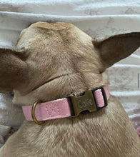Load image into Gallery viewer, Luxe Pups ™ Personalised Vintage Collars - Luxury Label Official