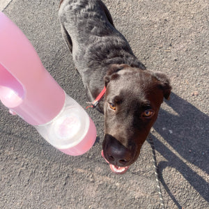 Luxe Pups ™ EasyPet Portable Pet Water-Bottle & Food Travel Bottle - Luxury Label Official