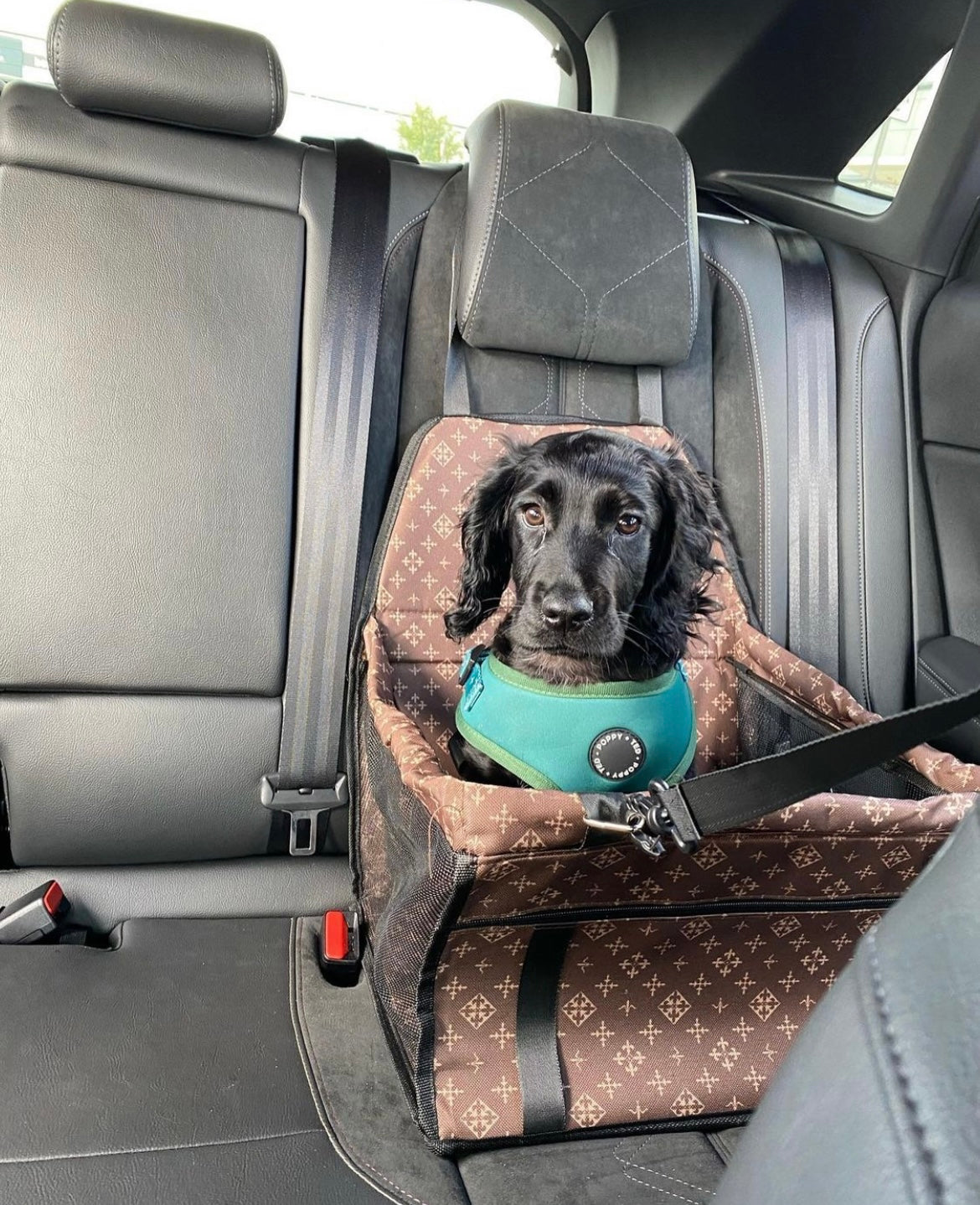 Luxe Pups ™ Luxury Pet Car-Seat and Carrier